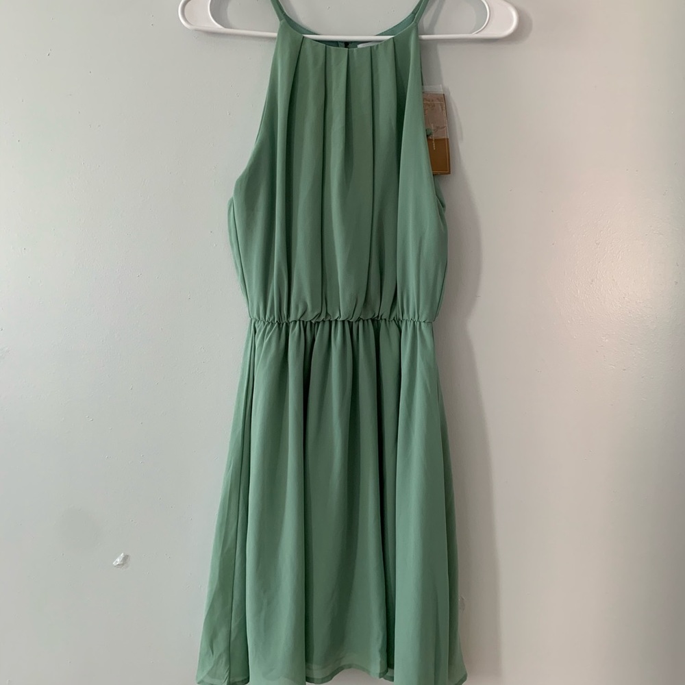 Lush Blouson Chiffon Skater Dress